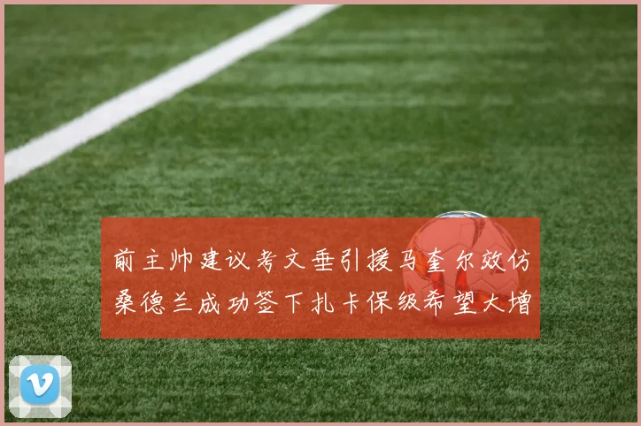 前主帅建议考文垂引援马奎尔效仿桑德兰成功签下扎卡保级希望大增