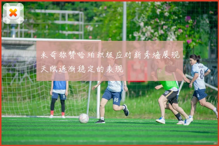 米奇称赞哈珀积极应对新秀墙展现天赋逐渐稳定的表现